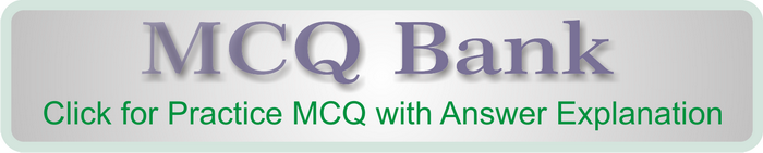 Section MCQ