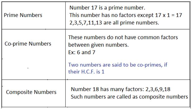 prims -69049424